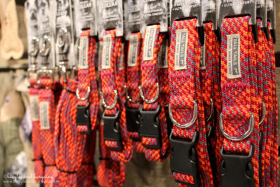 Top Pet Industry Trends for 2017 from the Global Pet Expo - Pets & Luxury - Designer Dog Collars