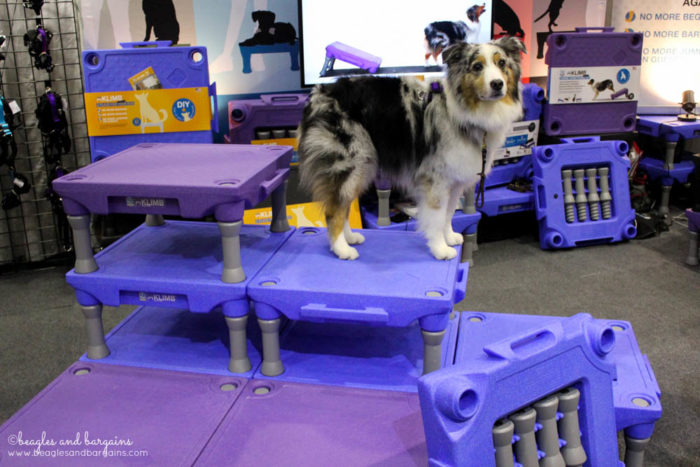 Top Pet Industry Trends for 2017 from the Global Pet Expo - Stimulation & Interactive Feeders - The Klimb