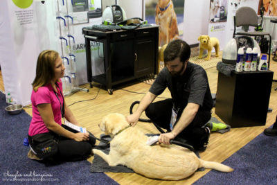 Top Pet Industry Trends for 2017 from the Global Pet Expo - Pet Tech - Bissell BarkBath
