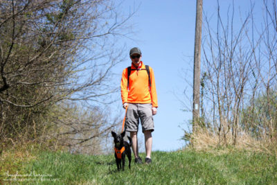 Dog Friendly Hiking at the Blue Ridge Center for Environmental Stewardship