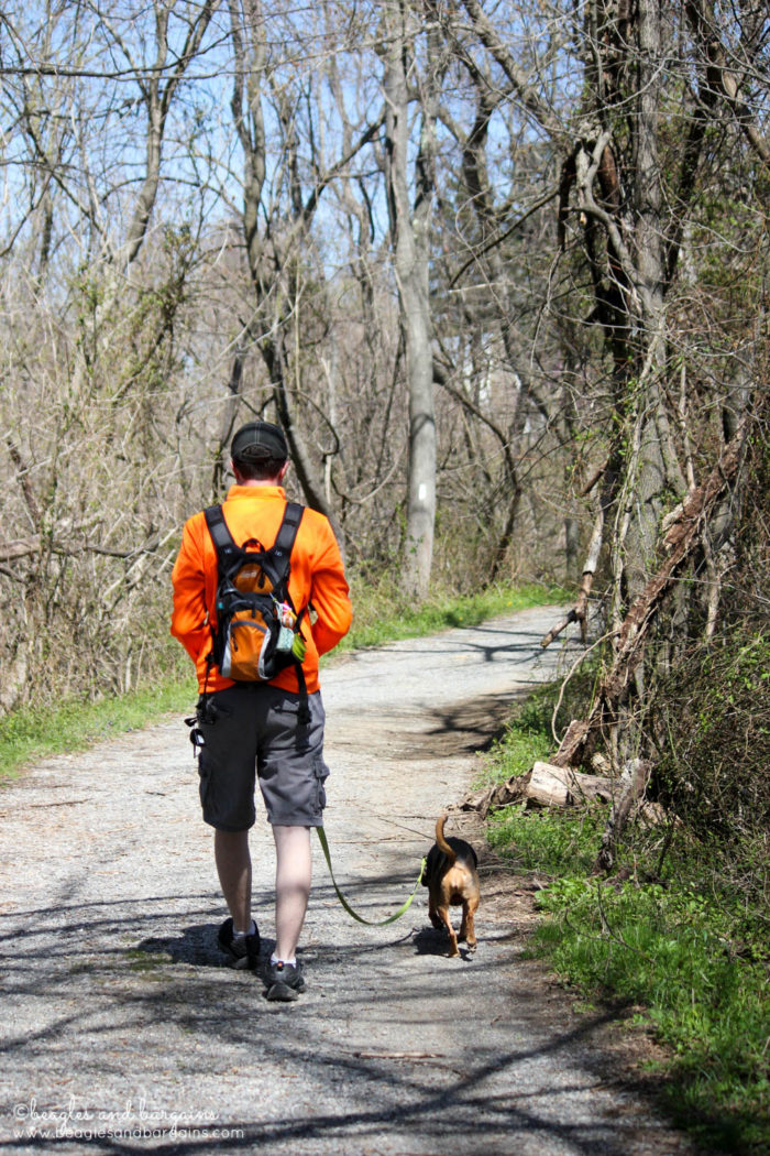 Dog Friendly Hiking at Blue Ridge Center for Environmental Stewardship