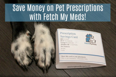 Save Money on Veterinary & Pet Prescriptions with Fetch My Meds