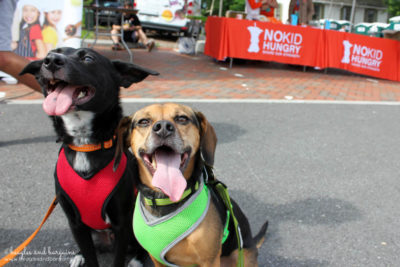 Ralph & Luna support No Kid Hungry at the Fit Foodie 5K & Festival