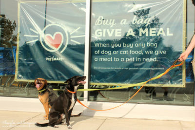 Buy a Bag of Wellness CORE RawRev for Dogs at PetSmart and Give a Meal!