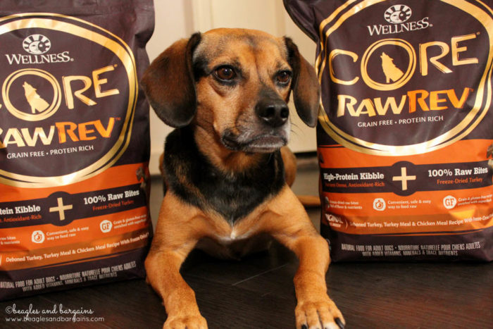 Introducing a Safe, Easy Raw Food Diet Through Wellness CORE RawRev for Dogs