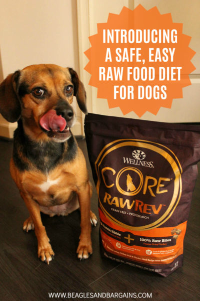 Introducing a Safe, Easy Raw Food Diet Through Wellness CORE RawRev for Dogs - Save at PetSmart!
