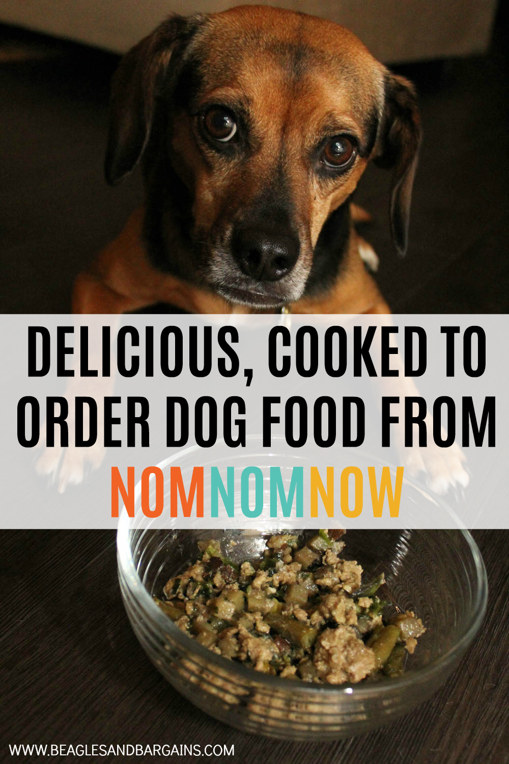 Delicious, Cooked to Order Dog Food from NomNomNow ...