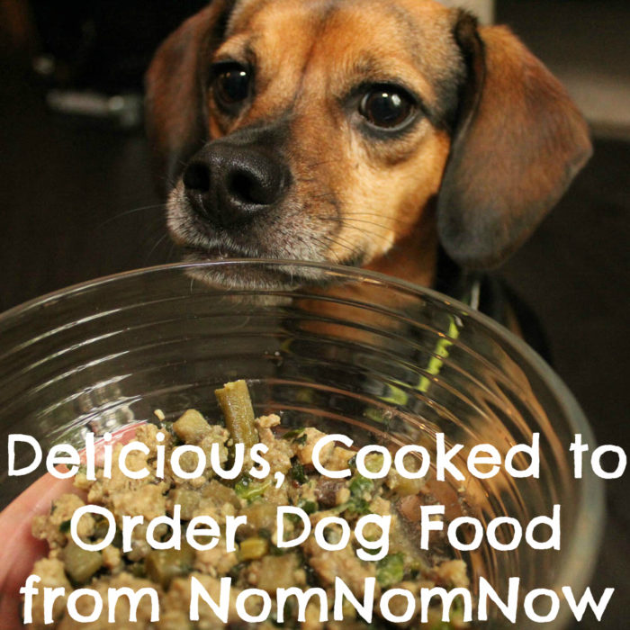 Delicious, Cooked to Order Dog Food from NomNomNow