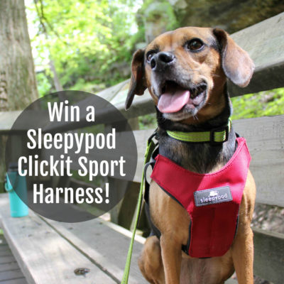 Win a Get Pet Friendly Road Trip Ready with Sleepypod - Win a Clickit Sport Harness!Sleepypod Clickit Sport Harness!