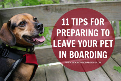 11 Tips for Preparing to Leave Your Pet Behind During a Vacation