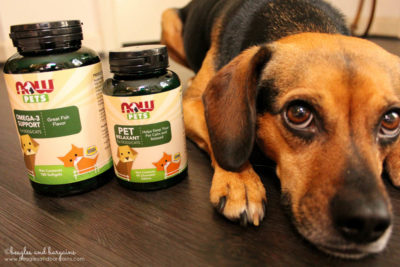 Luna with Omega-3 Support and Pet Relaxant from NOW Pets Supplements