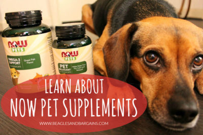 Are NOW Pets Supplements Right for Your Pet? + SWEEPSTAKES! #NOWpetsSweeps