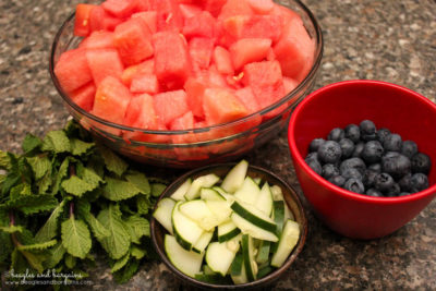 Watermelon Cucumber Mint Frozen Refresher for Dogs Recipe - Ingredients