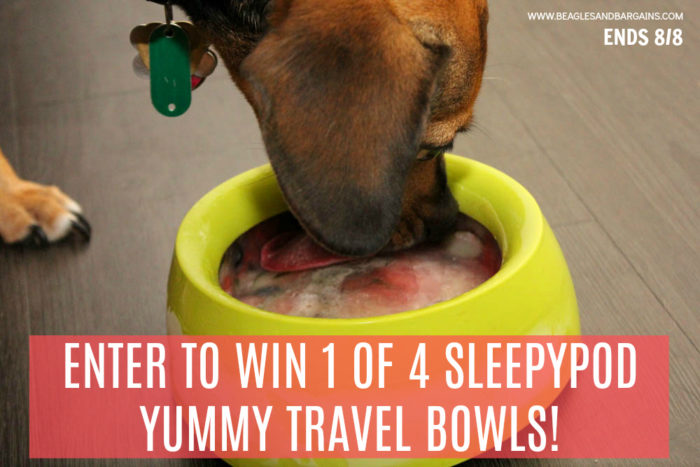 Enter to win 1 of 4 Sleepypod Yummy Travel Bowls!