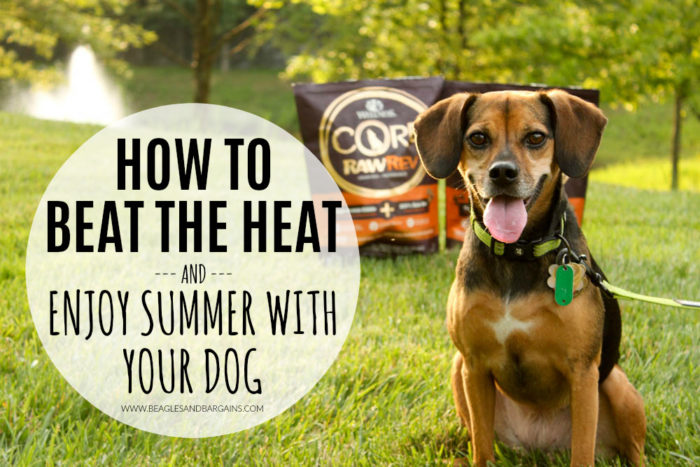 How to Beat the Heat and Enjoy Summer with Your Dog - #sponsored by Wellness CORE RawRev