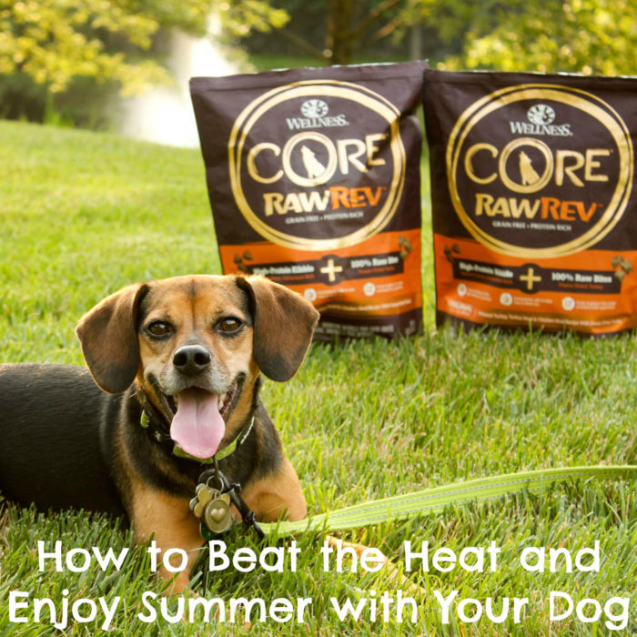 How to Beat the Heat and Enjoy Summer with Your Dog - #sponsored by Wellness CORE RawRev