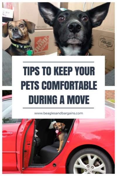 Tips to Keep Your Pets Comfortable During a Move