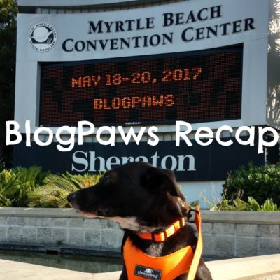 Extremely Belated BlogPaws Conference Recap Post from a Blogger Who Clearly Has Timeliness Issues
