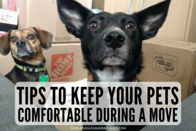 Tips to Keep Your Pets Comfortable During a Move