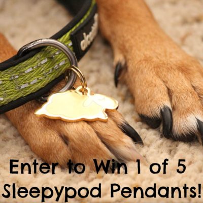 Enter to Win 1 of 5 Sleepypod Pendants!