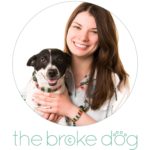 The Broke Dog Logo
