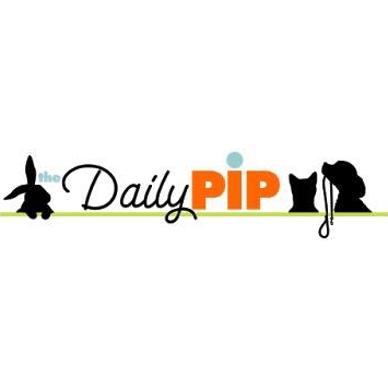 The Daily Pip Logo