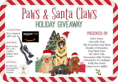 Paws & Santa Claws Holiday Giveaway | Pet Blogger Christmas Giveaway