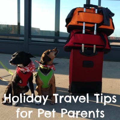 Holiday Travel Tips for Pet Parents for Both Car & Air Travel - #sponsored by Sleepypod