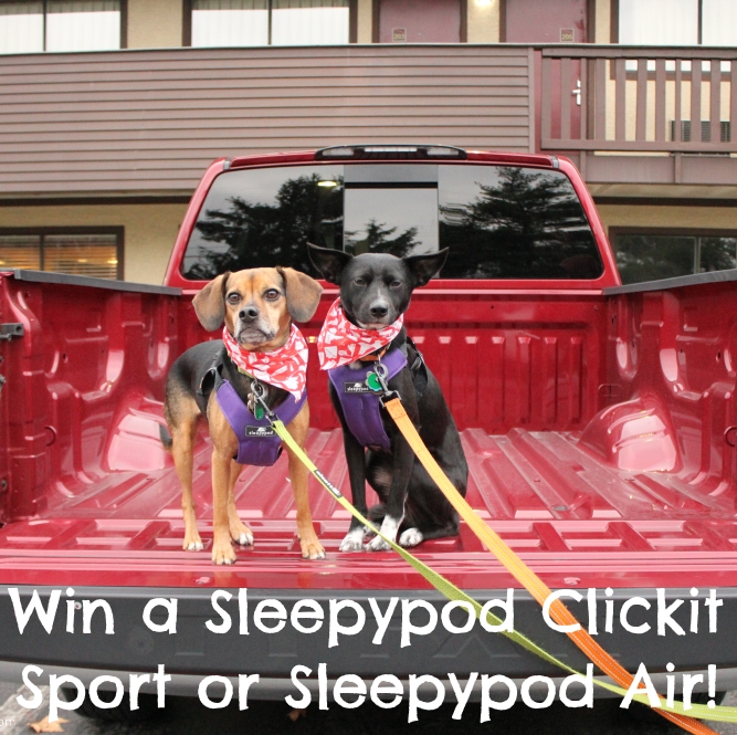 Win a Sleepypod Clickit Sport or Sleepypod Air! PLUS One for Your Favorite Animal Rescue or Charity! #sponsored