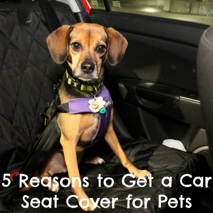 5 Reasons to Get a Car Seat Cover for Pets | Stocking Stuffer Giveaways | #sponsored by 4Knines