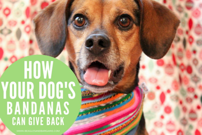 How Your Dog's Bandanas Can Give Back | Stocking Stuffer Giveaways | #sponsored by Jazal Color