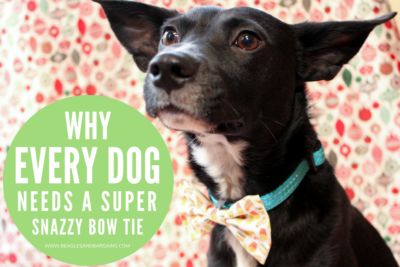 Why Every Dog Needs a Snazzy Bow Tie | Stocking Stuffer Giveaways | #sponsored by Brooklyn Bowtied