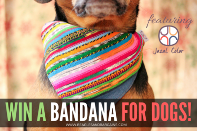 How Your Dog's Bandanas Can Give Back | Stocking Stuffer Giveaways | Win a Bandana for Dogs | #sponsored by Jazal Color