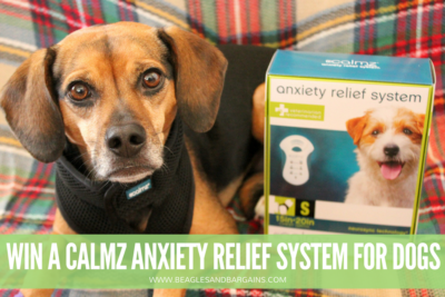 8 Causes for Holiday Anxiety in Dogs | Stocking Stuffer Giveaways | Win a CALMZ Anxiety Relief System for Dogs | #sponsored by Petmate