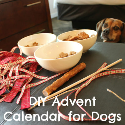 DIY Advent Calendar for Dogs - No Sew Craft Tutorial
