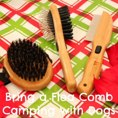 Bring a Flea Comb Camping with Dogs | Stocking Stuffer Giveaways | #sponsored by Bamboo Groom