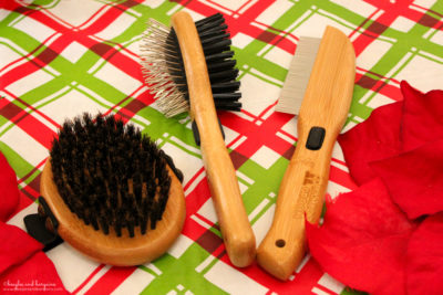 Bring a Flea Comb Camping with Dogs | Stocking Stuffer Giveaways | #sponsored by Bamboo Groom
