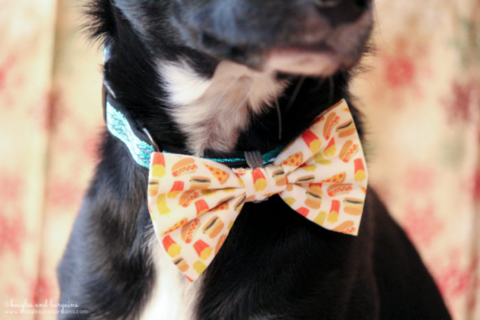Why Every Dog Needs a Snazzy Bow Tie | Stocking Stuffer Giveaways | #sponsored by Brooklyn Bowtied