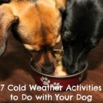 7 Cold Weather Activities to Do with Your Dog {Stocking Stuffer Giveaway – Day #5}