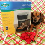 Benefits of an Automatic Pet Feeder | Stocking Stuffer Giveaways | Win a PetSafe Smart Feed Automatic Pet Feeder | #sponsored by PetSafe