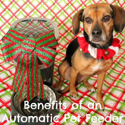 Benefits of an Automatic Pet Feeder | Stocking Stuffer Giveaways | #sponsored by PetSafe