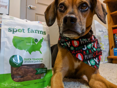 New Activities to Try with Your Dog in 2018 | Stocking Stuffer Giveaways | #sponsored by Spot Farms
