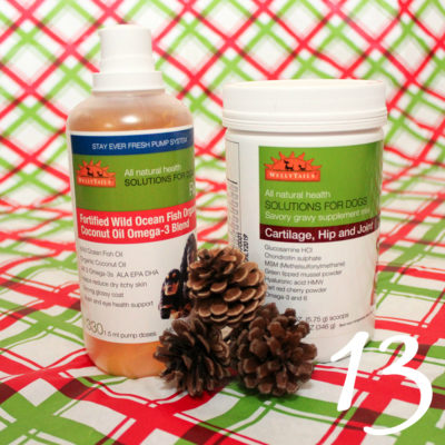 Tips to Prioritize Your Dog’s Health in the New Year | Stocking Stuffer Giveaways | Win WellyTails Supplements for Dogs | #sponsored by WellyTails