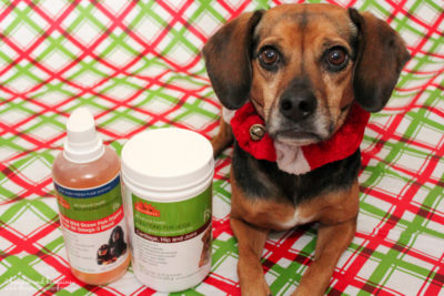 Tips to Prioritize Your Dog’s Health in the New Year | Stocking Stuffer Giveaways | #sponsored by WellyTails
