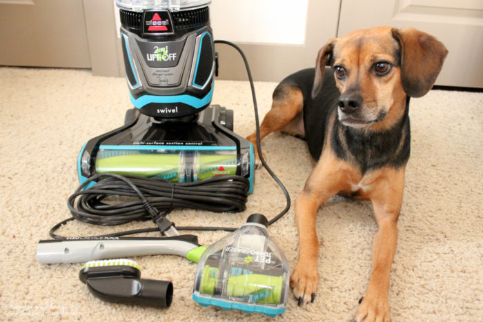 Tackle Pet Hair in the New Year with the BISSELL Pet Hair Eraser Lift-Off Vacuum | Clean Pet Friendly Home Tips | #sponsored by BISSELL