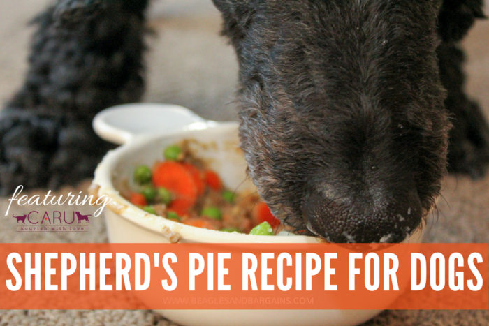 Shepherd's Pie Recipe for Dogs - Sponsored by Caru - Featuring Daily Dish Stews 