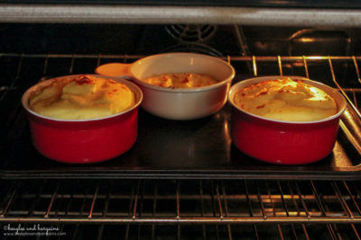 Shepherd's Pie Recipe for Dogs - Sponsored by Caru - Featuring Daily Dish Stews
