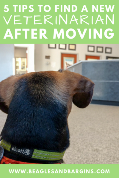 5 Tips to Find a New Veterinarian After Moving - #sponsored by AAHA - {pets, dogs, vet, health}