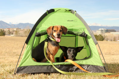 18 Safety Tips For Camping with Your Dog - #sponsored by Sleepypod - {hiking, outdoors, pet safe}