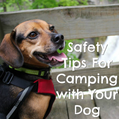18 Safety Tips For Camping with Your Dog - #sponsored by Sleepypod - {hiking, outdoors, pet safe}